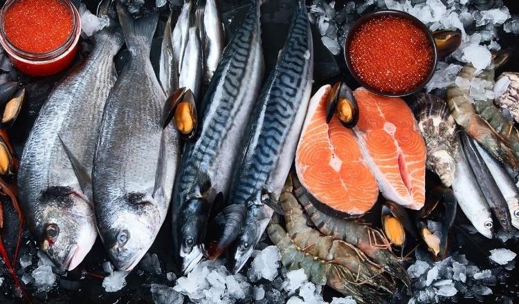 peixes do mar mais consumidos