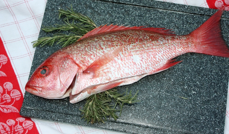 peixe vermelho é bom