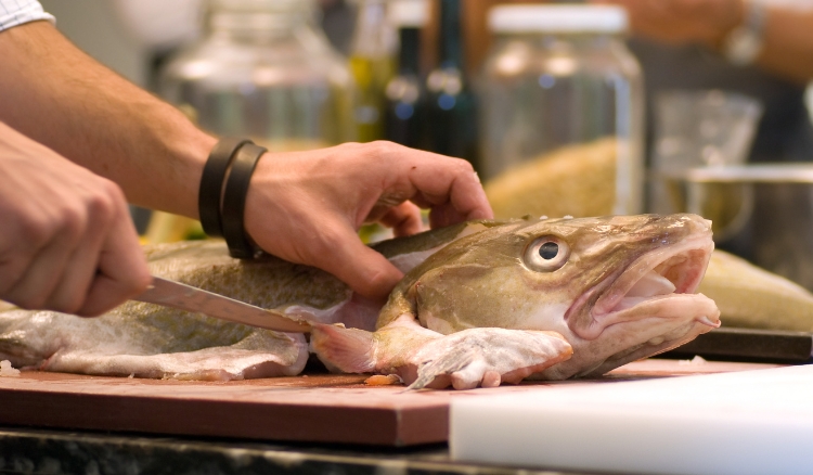 peixe piramutaba tem muitos espinho