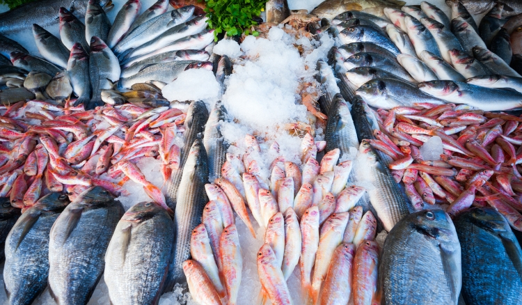 peixes para substituir o bacalhau