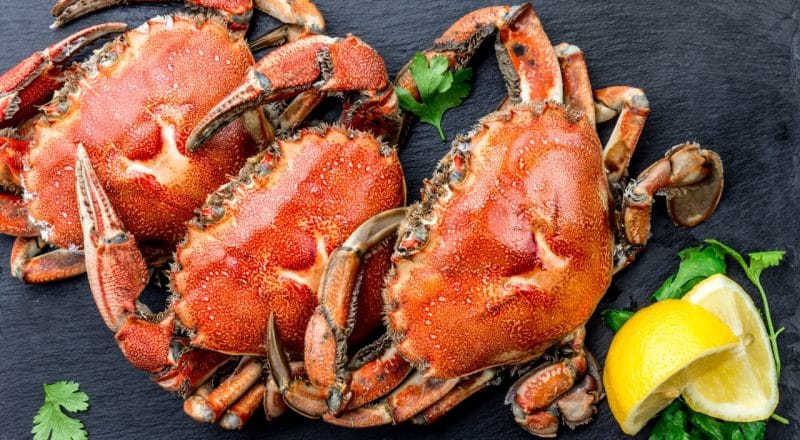 Pode comer a cabeça do caranguejo