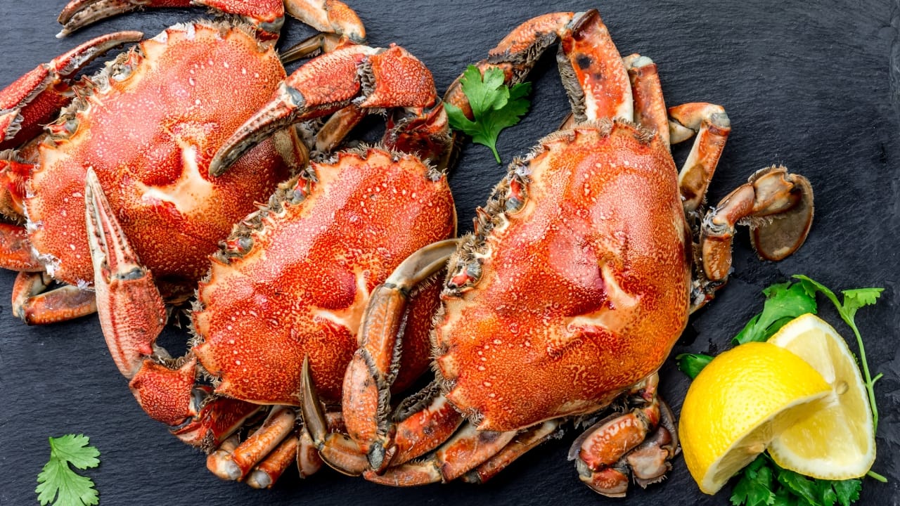 Pode comer a cabeça do caranguejo