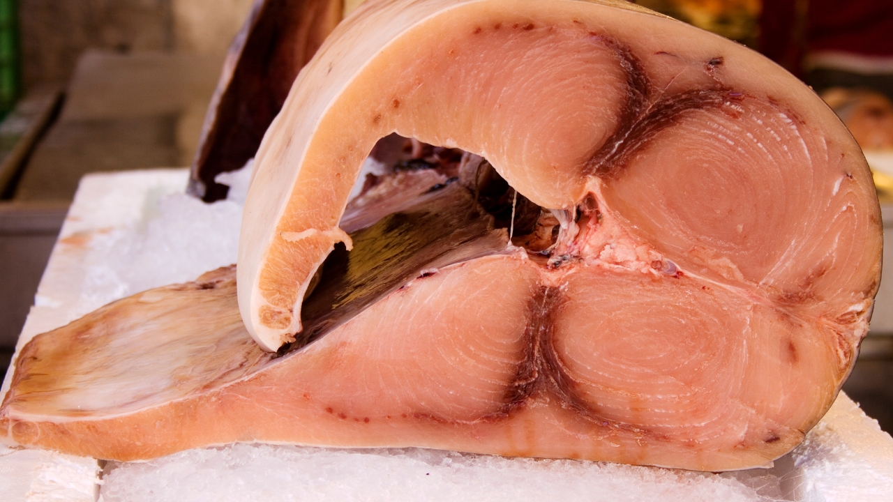 Como limpar Peixe-Espada