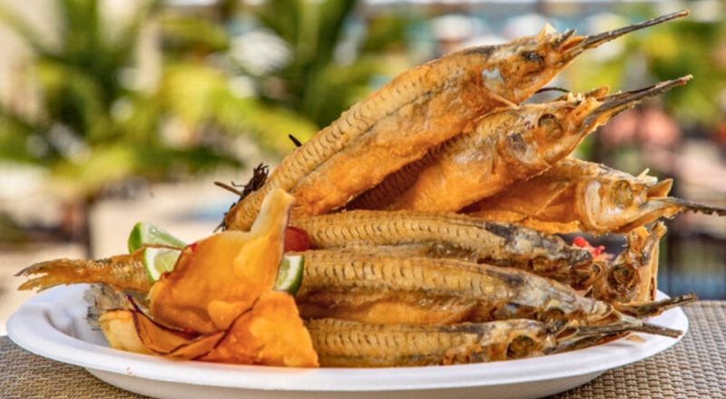 Peixe Agulha tem muita espinha