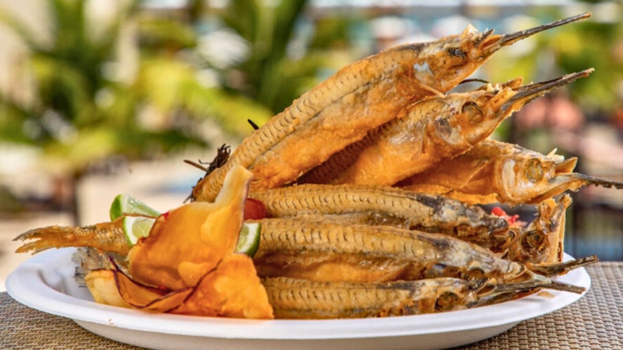 Peixe Agulha tem muita espinha
