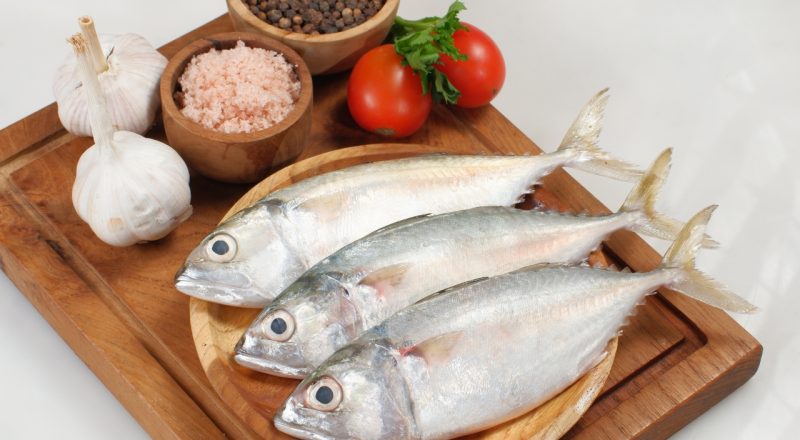 Peixe Chicharro é bom