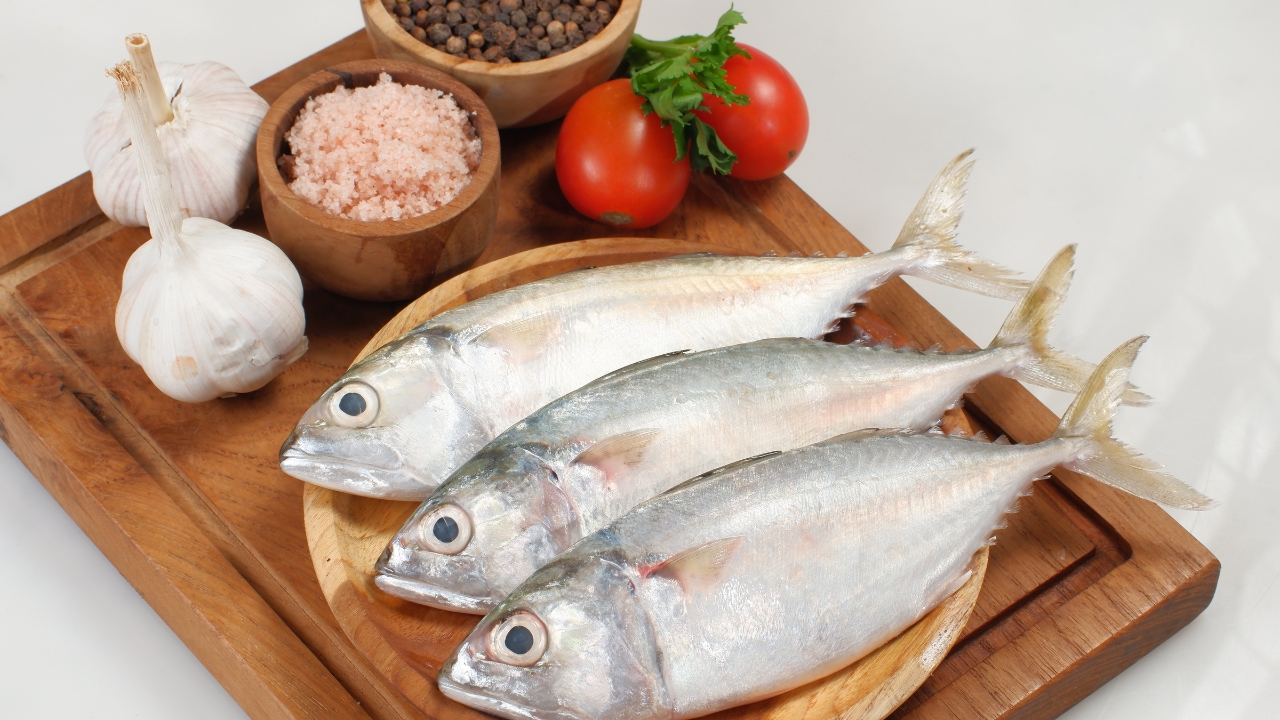 Peixe Chicharro é bom