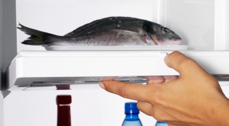 Pode congelar peixe sem limpar