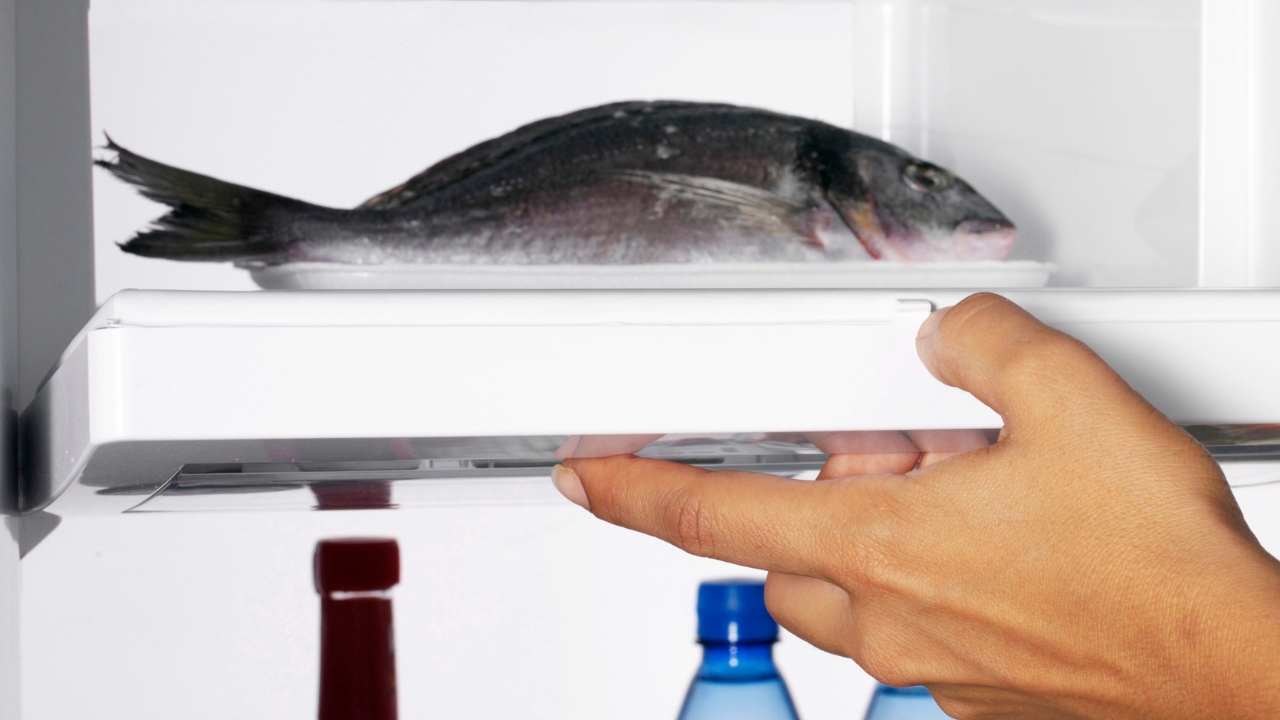 Pode congelar peixe sem limpar