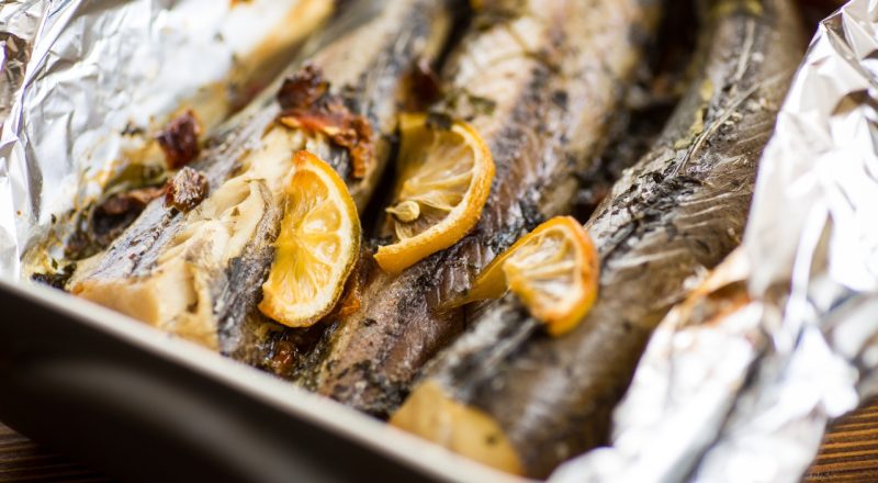 Peixe Cachorra tem muito espinho