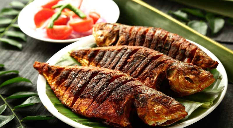 Peixe Cocoroca